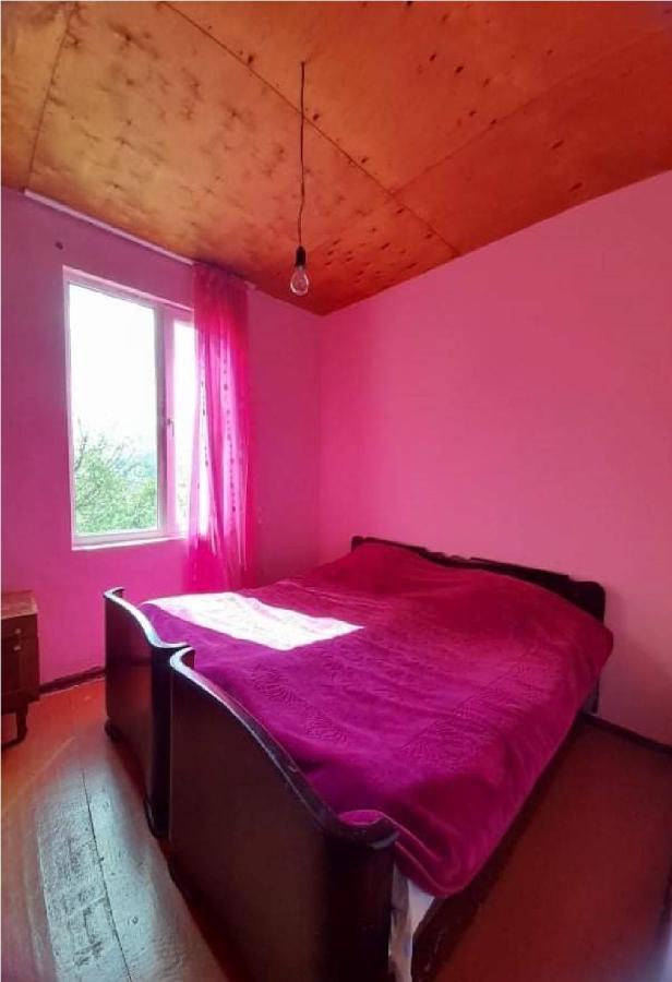 Guest House Malkhaz Niguriani Zhabeshi Ngoại thất bức ảnh